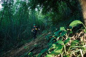 BIB: 
                            <button type="button" onclick="openModal(28124789)" class="btn btn-primary btn-sm float-right btn-popup" data-toggle="modal" data-target=".modal-high-quality">
                        <i class="fas fa-shopping-cart"></i> Add to Cart
                    </button>
                                            <button type="button" onclick="isThisMe(28124789, true)" class="btn btn-success btn-sm float-right btn-popup btn-isme hidden" data-toggle="tooltip" data-placement="bottom" title="นี่คือรูปของคุณใช่ไหม คลิกที่นี่เพื่อเอาเข้าอัลบั้ม">
                        <i class="fas fa-plus"></i> Add to album
                    </button>
                    <button type="button" onclick="isThisMe(28124789, false)" class="btn btn-warning btn-sm float-right btn-popup btn-isnotme hidden">
                        <i class="fas fa-ban"></i> Remove from album
                    </button>